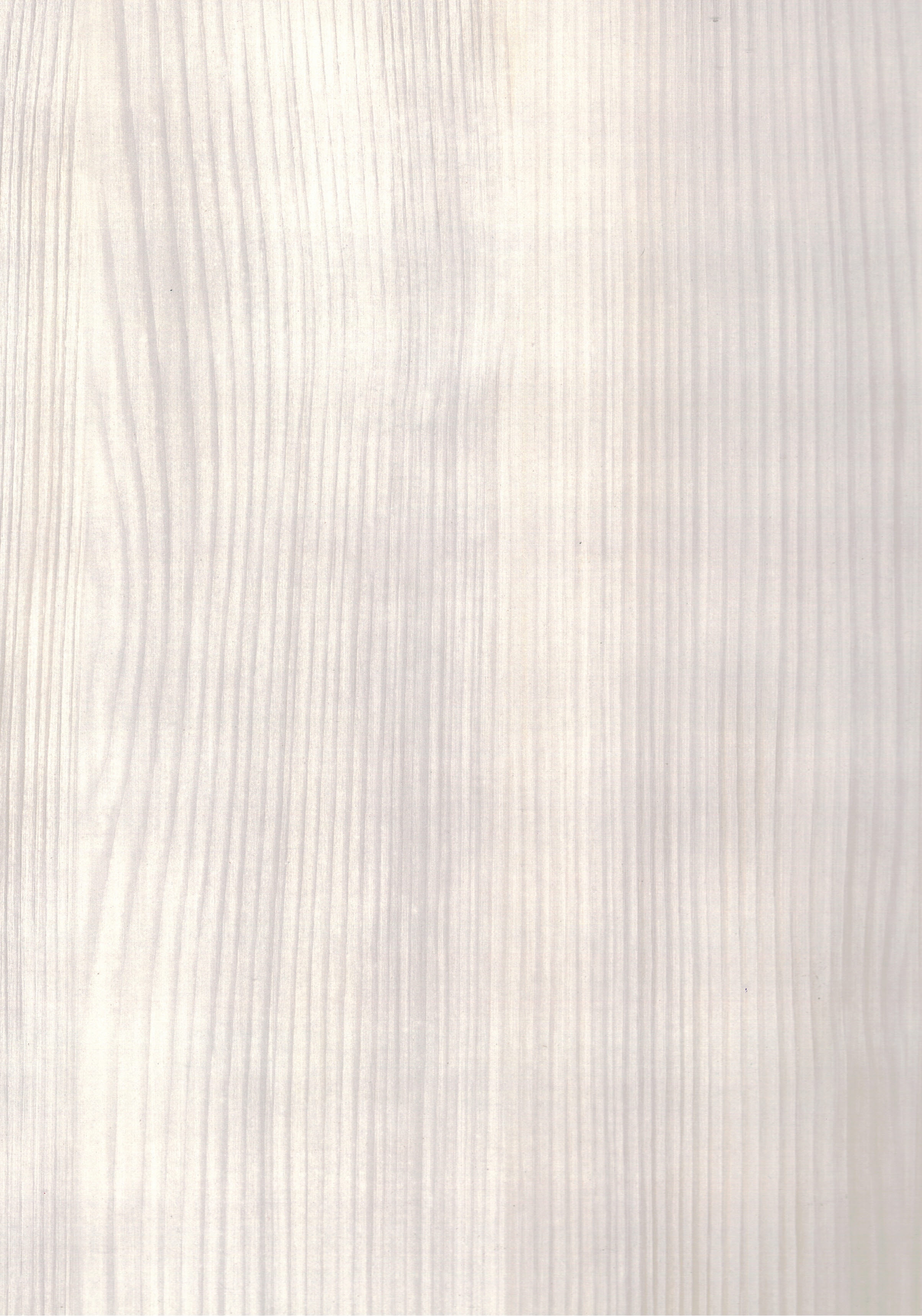 449 - Бяло Дърво